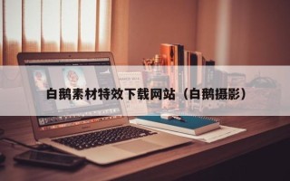 衡阳白鹅素材特效下载网站（白鹅摄影）